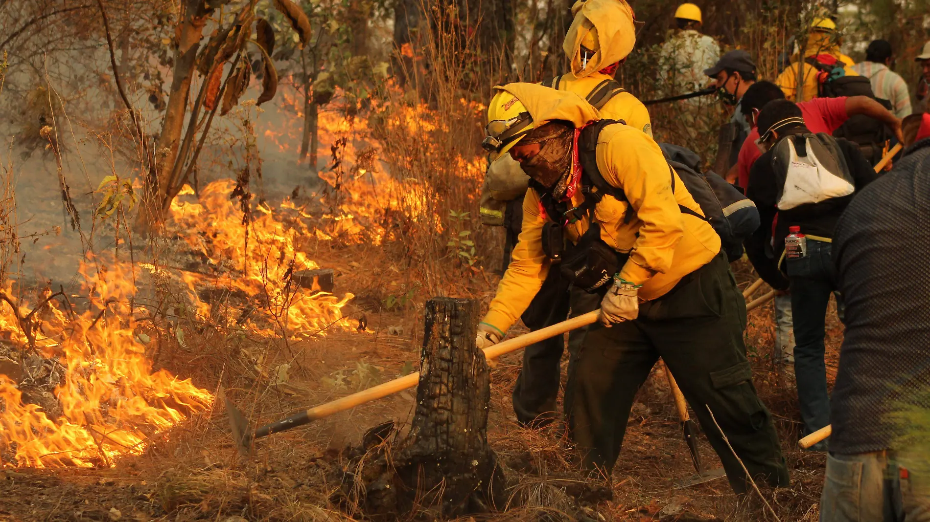 810431_Incendio Llanos de Tepoxtepec Chilpancingo-5_impreso